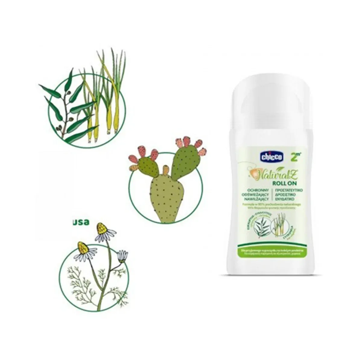 رول NaturalZ چیکو کنار تصویر اکالیپتوس، علف‌لیمو، کاکتوس و بابونه، نمای ترکیبات